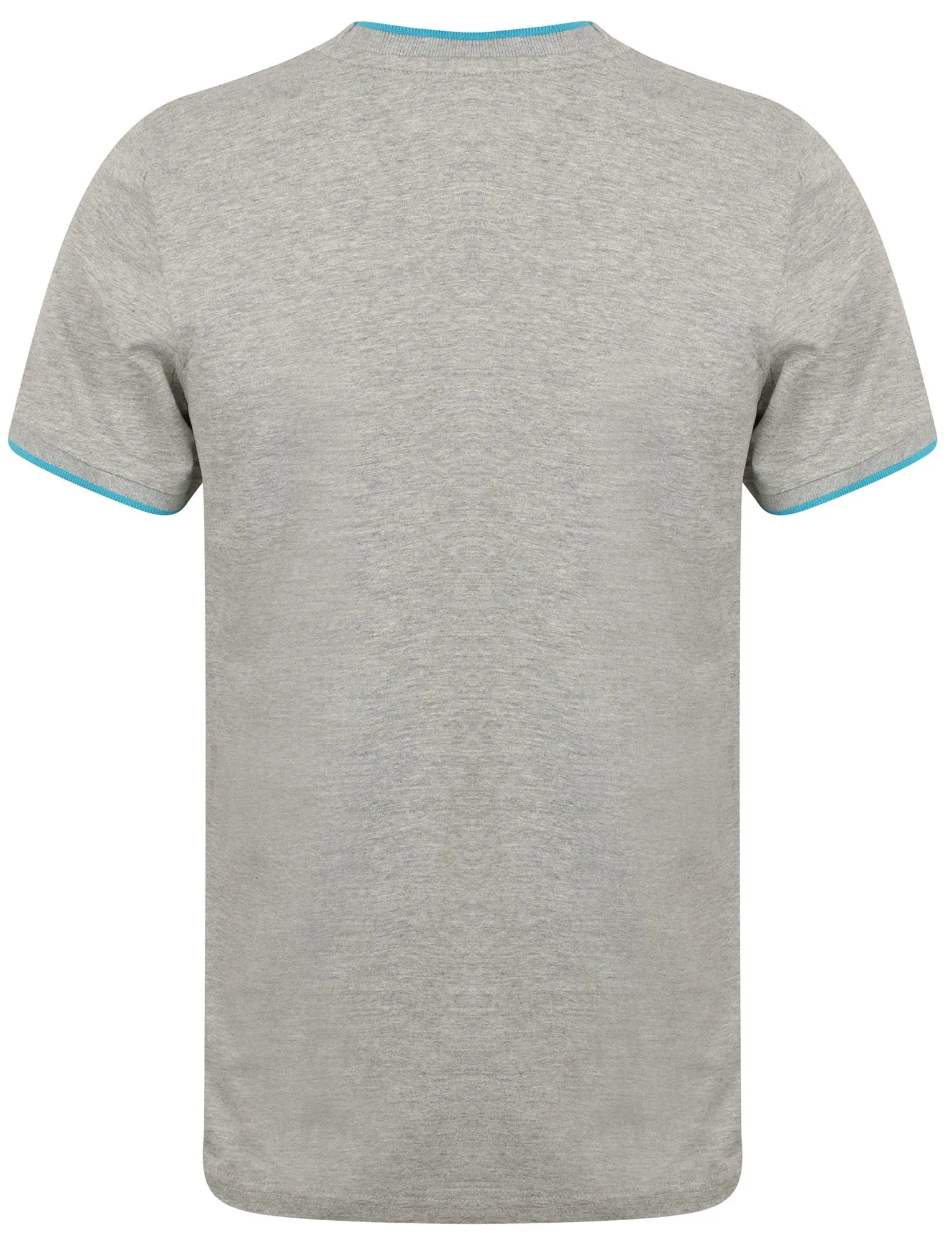 Lilford Cotton Crew Neck T-Shirt In Light Grey Marl - Tokyo Laundry