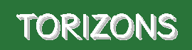 Torizons – Timeless Elegance & Trendy Fashion for Every Occasion
